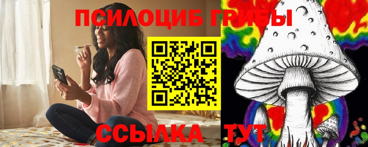 Минусинск  Галлюциногенные грибы Psilocybe  Вход с VPN 