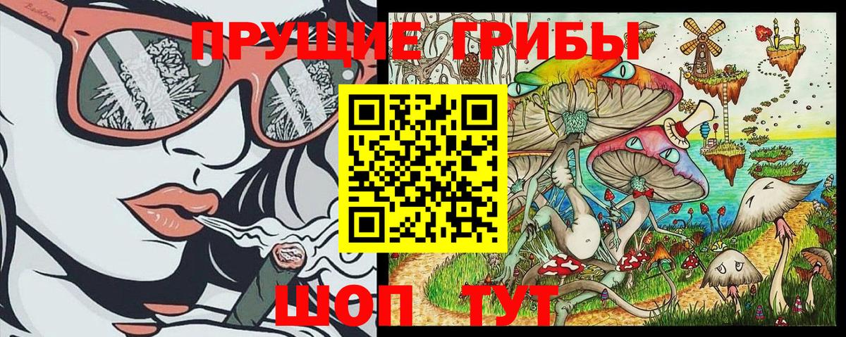 Галлюциногенные грибы Psilocybe Минусинск
